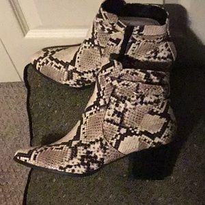 Market & Spruce Bootie - BRAND NEW - Never worn.